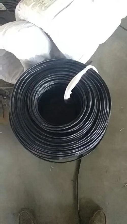 铜带屏蔽计算机控制电缆 DJYVP2 2×2.5 精密控制系统的信号守护者